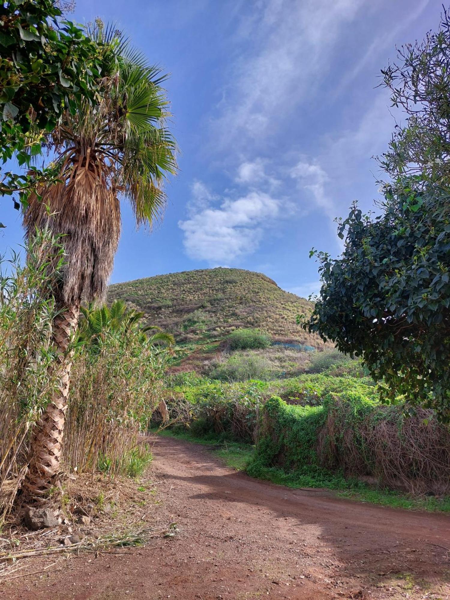 Casa Rural Doña Herminda La Matanza De Acentejo Bagian luar foto