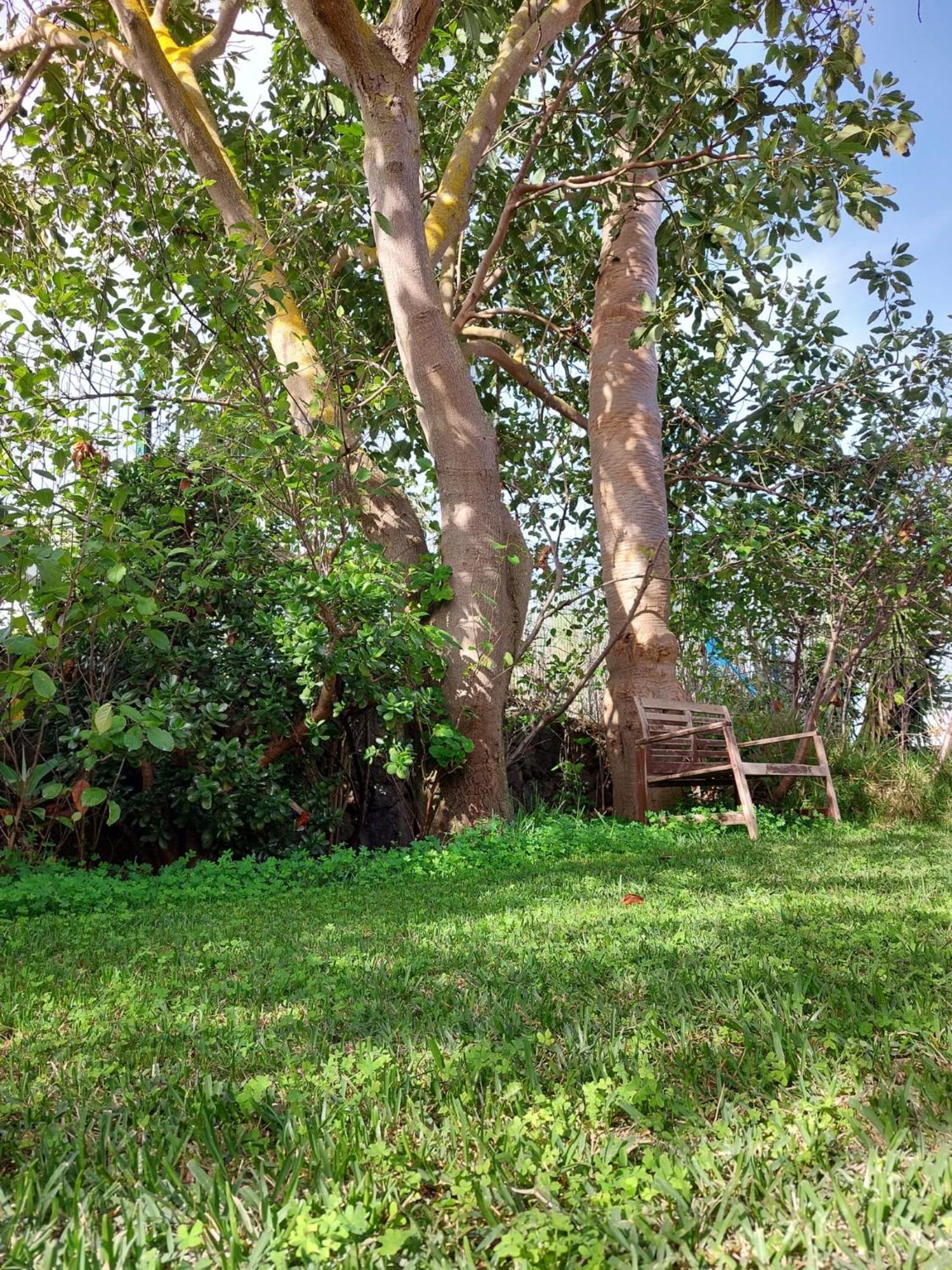 Casa Rural Doña Herminda La Matanza De Acentejo Bagian luar foto