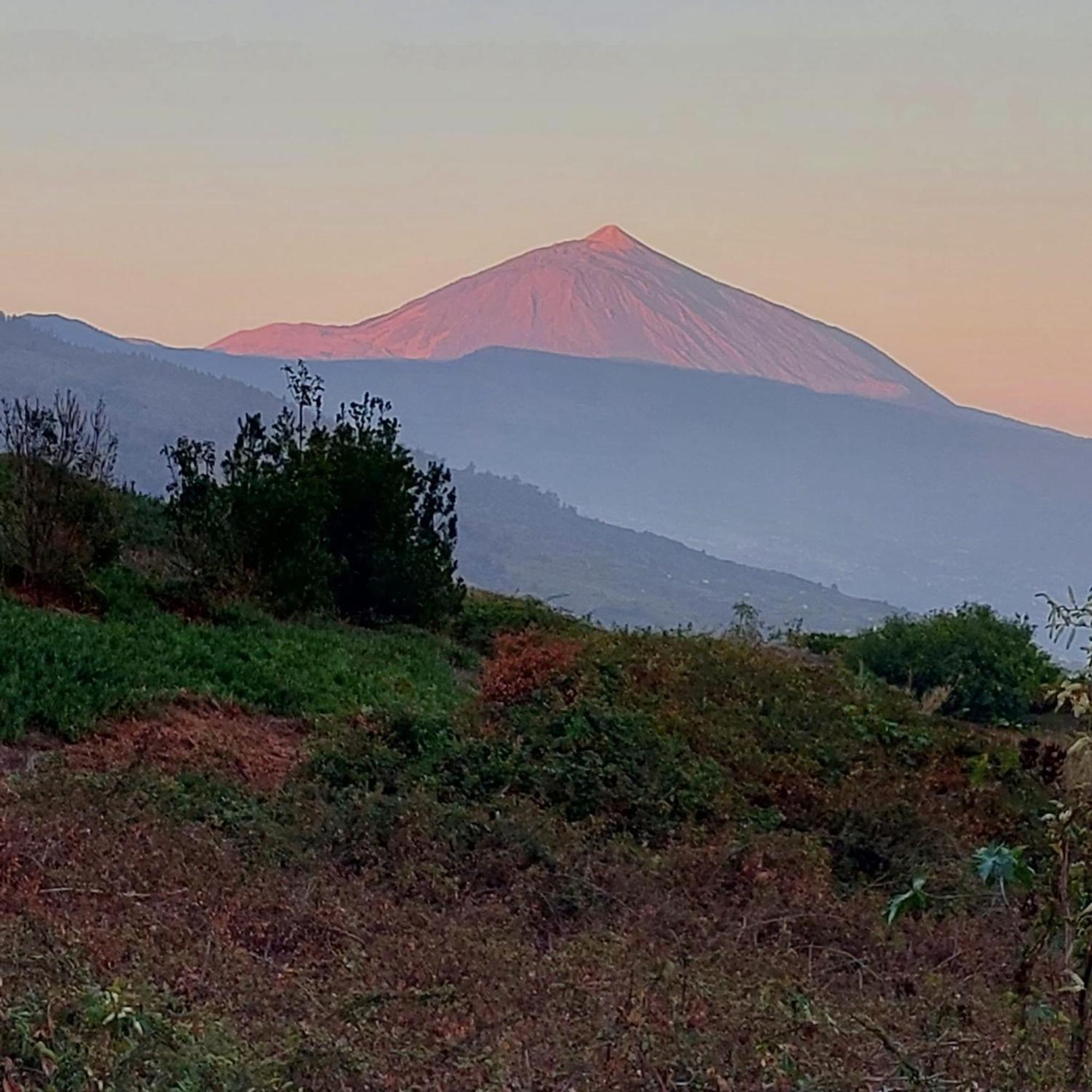 Casa Rural Doña Herminda La Matanza De Acentejo Bagian luar foto